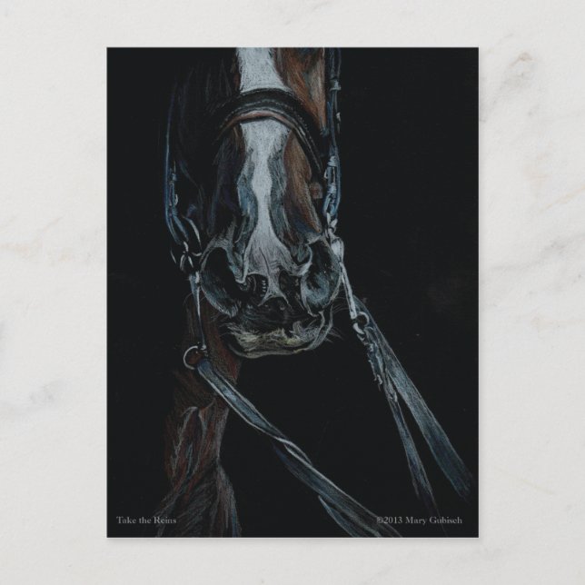 Cartão Postal Pegue as rédeas de Mary Gubisch (Frente)