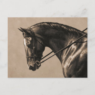 Cartão Postal Peito de Retrato Sepia para Cavalo de Brown Bay Ol