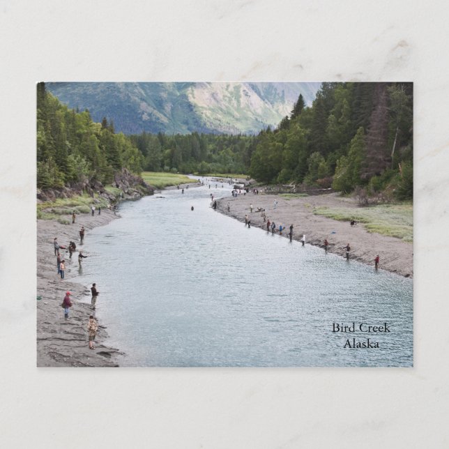 Cartão Postal Peixe Alaska! (Frente)