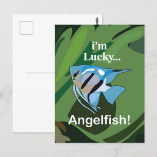 Cartão Postal Peixe-anjo Aquarista Tropical de Água Doce Pescado