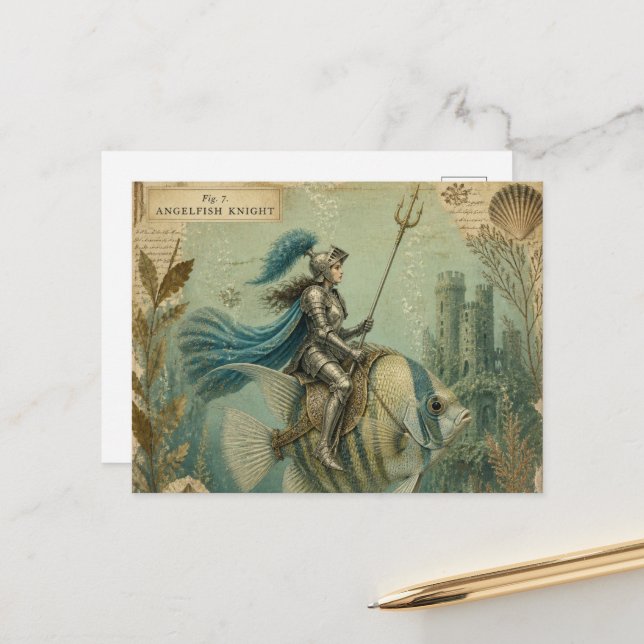 Cartão Postal Peixe-Anjo Cavaleiro (Frente/Verso In Situ)