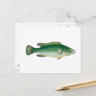 Cartão Postal Peixe Antigo