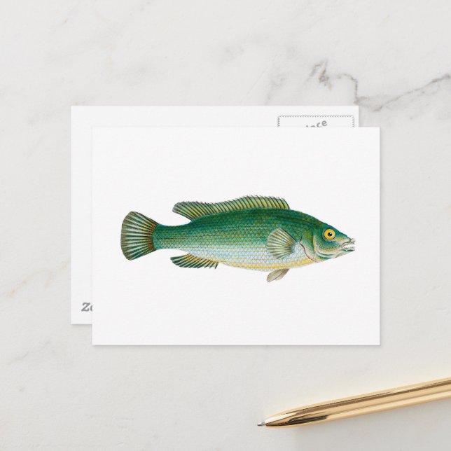 Cartão Postal Peixe Antigo (Frente/Verso In Situ)