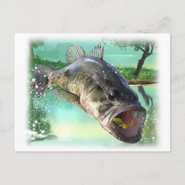 Cartão Postal peixe-base verde (Frente)