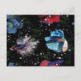 Cartão Postal Peixe Betta Colorido