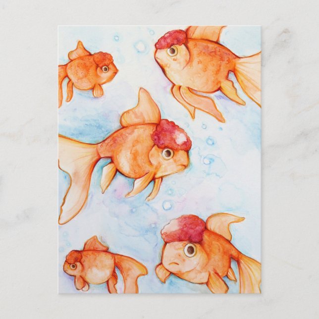 Cartão Postal Peixe Dourado Oranda Chique (Frente)