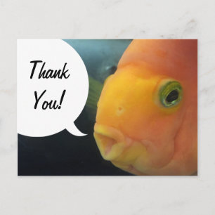 Cartão Postal Peixe engraçado de esconde-esconde obrigado
