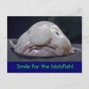 Cartão Postal peixe estranho