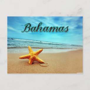Cartão Postal Peixe-estrela das Bahamas