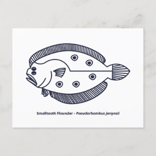 Cartão Postal Peixe-Flounder Divertido em Azul Profundo e Branco