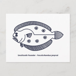 Cartão Postal Peixe-Flounder Divertido em Azul Profundo e Branco
