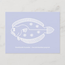 Cartão Postal Peixe-Flounder Divertido em Branco sobre Púrpura L