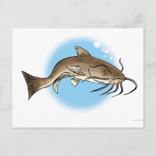 Cartão Postal Peixe-gato