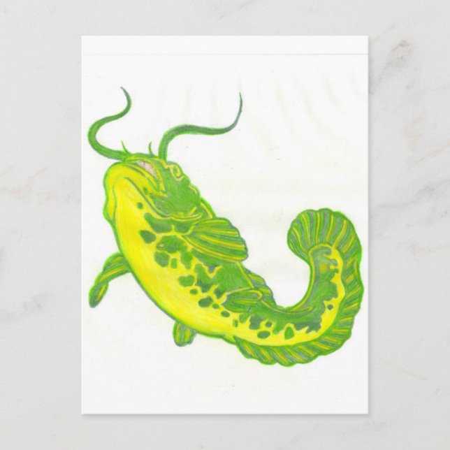 Cartão Postal Peixe-gato sortudo (Frente)