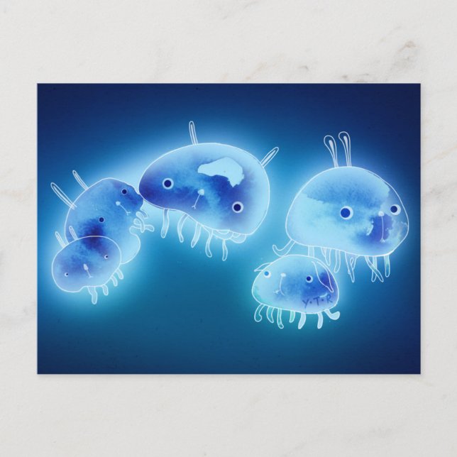 Cartão Postal Peixe-geleia 2013 (Frente)