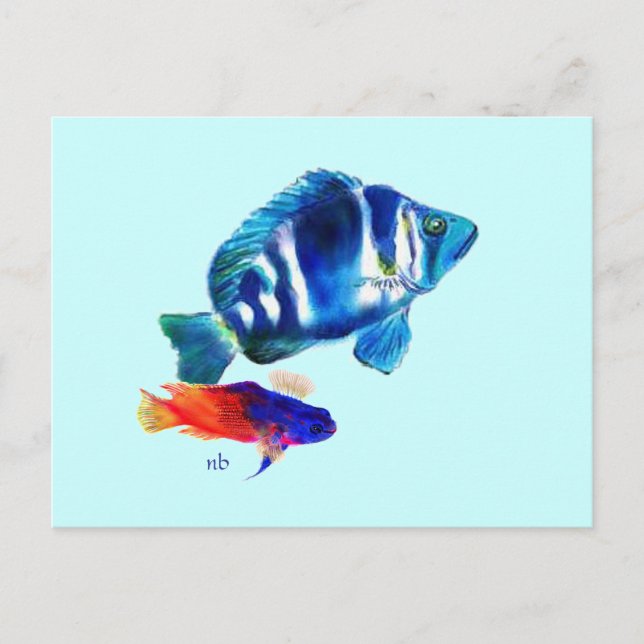 Cartão Postal Peixe-Índio, Folha de Leite (Frente)