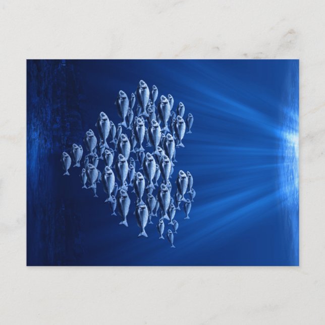 Cartão Postal peixe nadando sob o coração d'água (Frente)