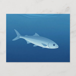 Cartão Postal Peixe Prateado Sereno Oceano Azul
