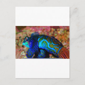 Cartão Postal Peixe psicodélico