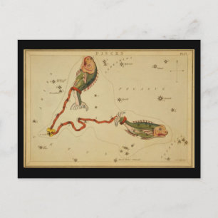 Cartão Postal Peixes