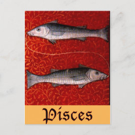 Cartão Postal Peixes2