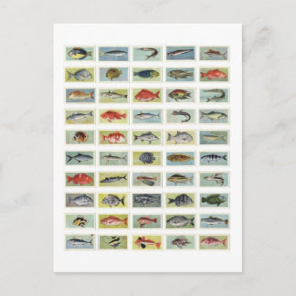 Cartão Postal Peixes Africanos