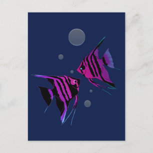 Cartão Postal Peixes-anjo neon