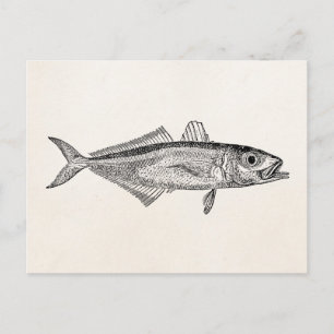 Cartão Postal Peixes Aquáticos de Escórias Vintage Vazio
