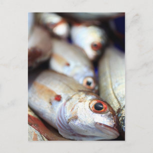 Cartão Postal Peixes frescos