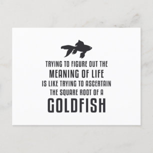 Cartão Postal Peixes Goldfish Significado da vida Peixes-Goldfis
