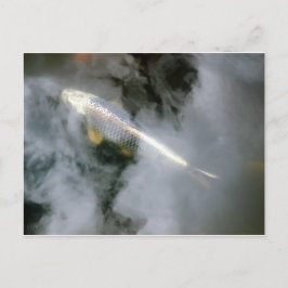 Cartão Postal Peixes Prateados em Água e Nuvens