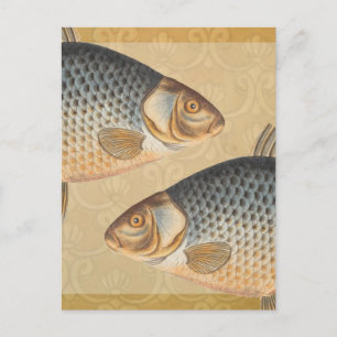 Cartão Postal Peixes+trabalho de arte+design+pesca+pesca+pesca