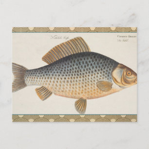 Cartão Postal Peixes+trabalho de arte+design+pesca+pesca+pesca