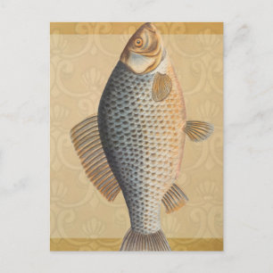 Cartão Postal Peixes+trabalho de arte+design+pesca+pesca+pesca