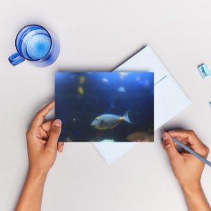 Cartão Postal Peixes tropicais azuis-amarelados