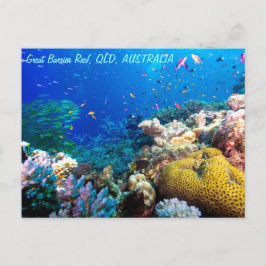 Cartão Postal Peixes Tropicais Grande Barreira de Coral Mar do C
