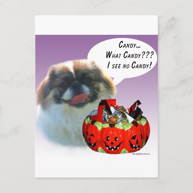 Cartão Postal Pekingese Halloween Candy (Frente)