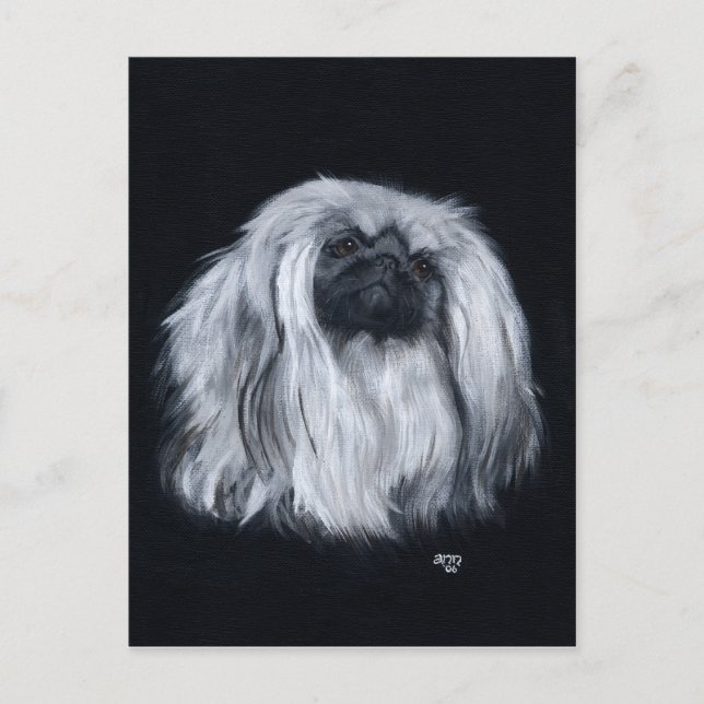 Cartão Postal Pekingese Preto e Branco (Frente)