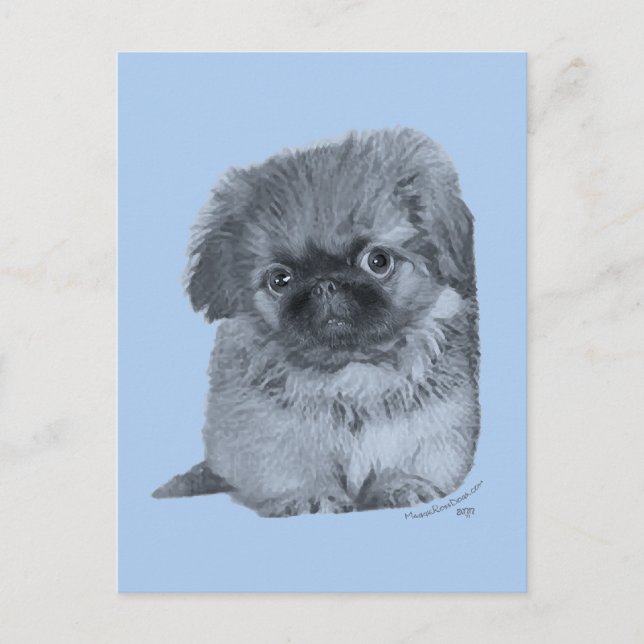 Cartão Postal Pekingese Puppy Blue (Frente)