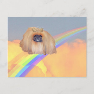 Cartão Postal Pekingese Rainbow