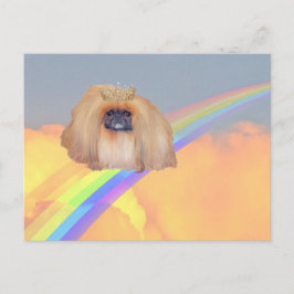 Cartão Postal Pekingese Rainbow