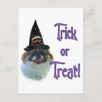 Pekingese Trick