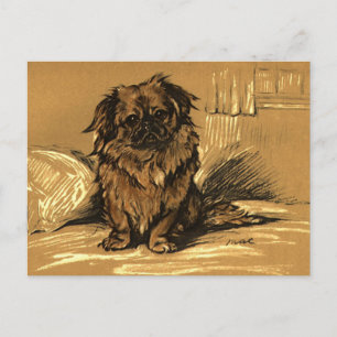 Cartão Postal Pekingeses Antigos