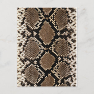 Cartão Postal Pele de Coluna de Anca Diamond