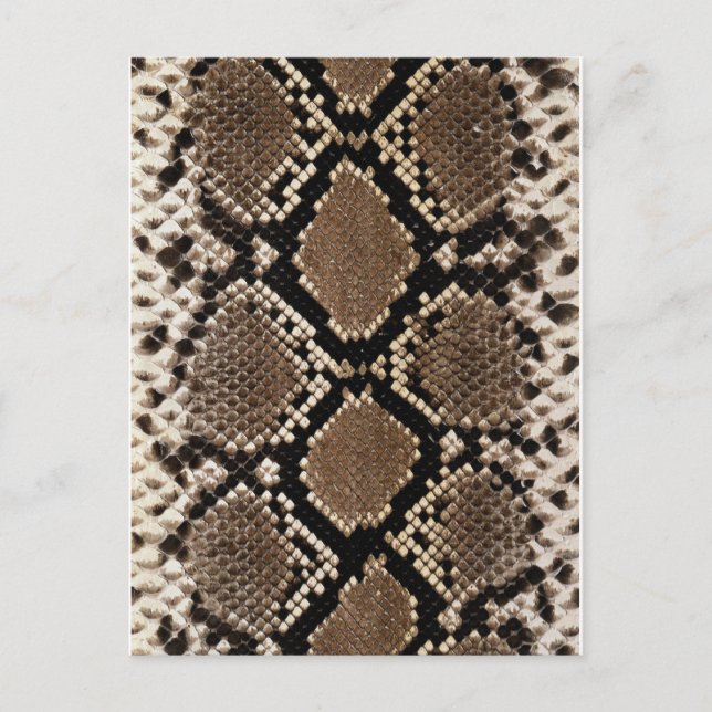 Cartão Postal Pele de Coluna de Anca Diamond (Frente)