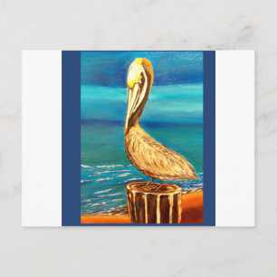 CARTÃO POSTAL PELICAN