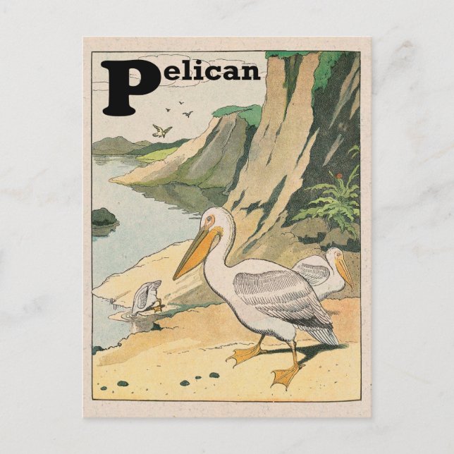 Cartão Postal Pelican Alphabet (Frente)