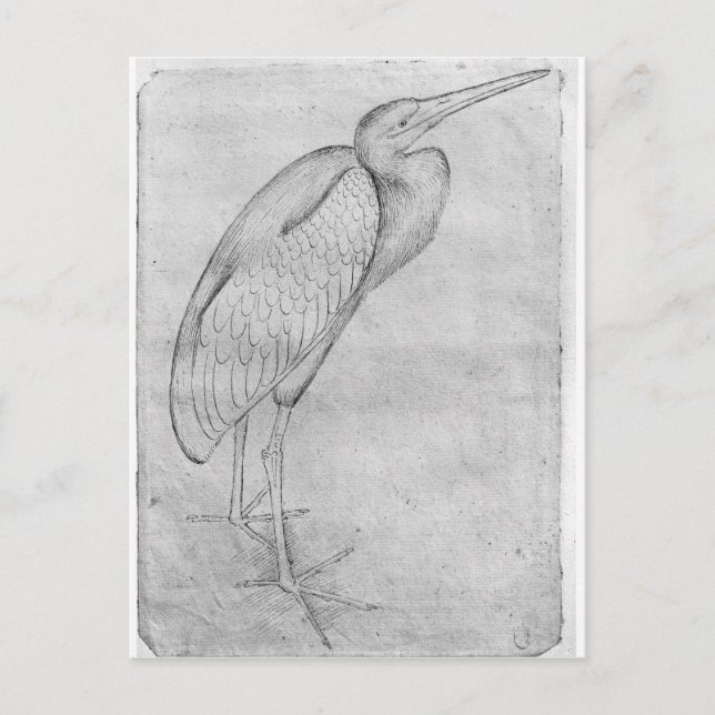 Cartão Postal Pelican, do álbum Vallardi (Frente)