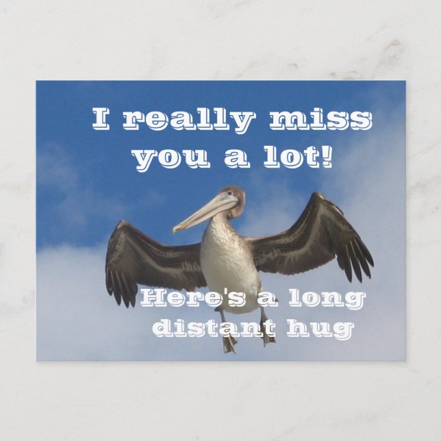 Cartão Postal Pelican Love_ (Frente)