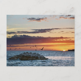 Cartão Postal Pelican Rock Sunset, Dauphin Island, Alabama